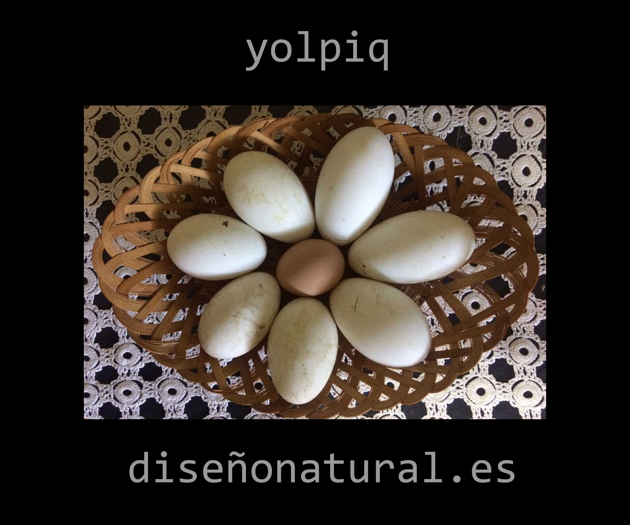 huevos de ocas https://yolpiq.com/wp-content/uploads/2019/02/huevosocaspq.jpg https://yolpiq.com/blog/huevosocas/