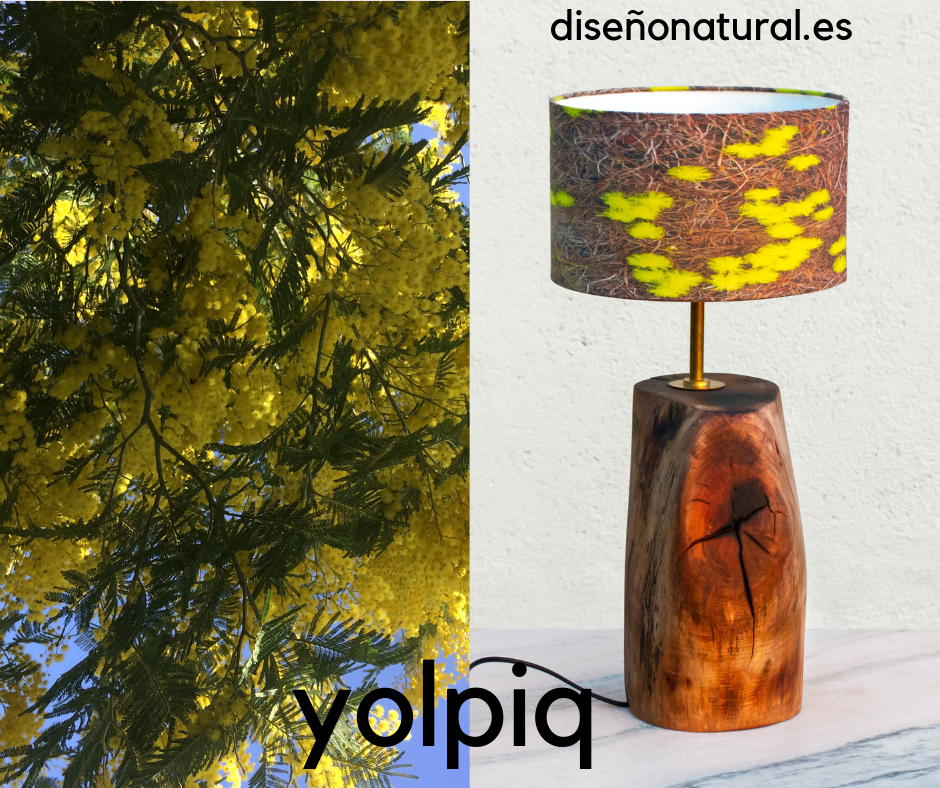 Ecología https://yolpiq.com/blog/la-luz-de-las-mimosas/ https://yolpiq.com/wp-content/uploads/2019/03/foto-mimosa2-blog.jpg https://yolpiq.com/blog/la-luz-de-las-mimosas/