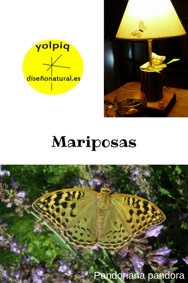 Fotografía naturaleza https://yolpiq.com/blog/las-lamparas-de-diseno-natural/ lámparas y naturaleza