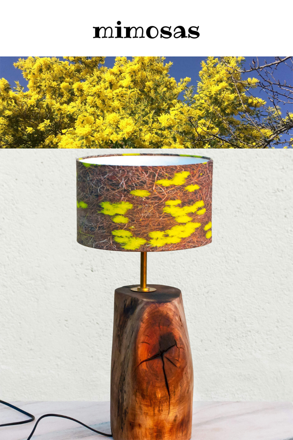 Fotografía naturaleza https://yolpiq.com/blog/las-lamparas-de-diseno-natural/ lámpara mimosas