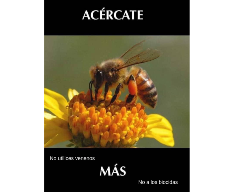 Fotografía naturaleza https://yolpiq.com/blog/las-lamparas-de-diseno-natural/ https://yolpiq.com/wp-content/uploads/2019/06/gansito2.jpg https://yolpiq.com/blog/las-lamparas-de-diseno-natural/