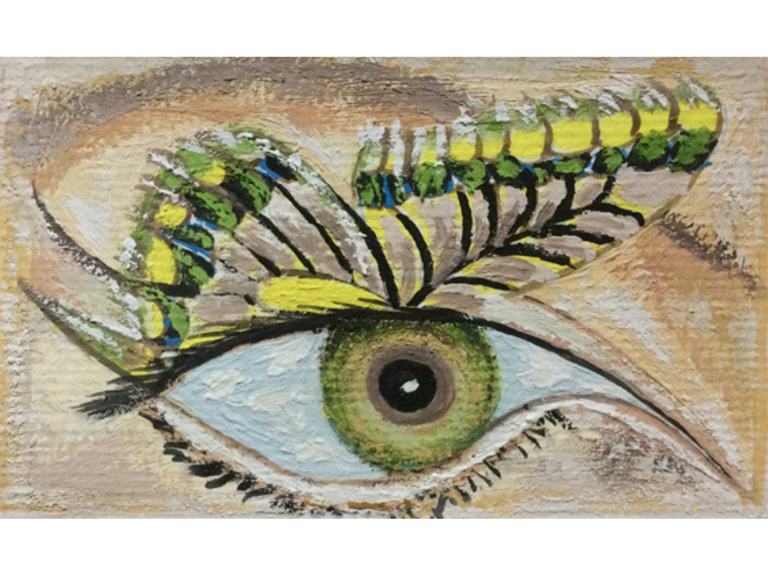 Fotografía naturaleza https://yolpiq.com/blog/las-lamparas-de-diseno-natural/ ojo mariposa