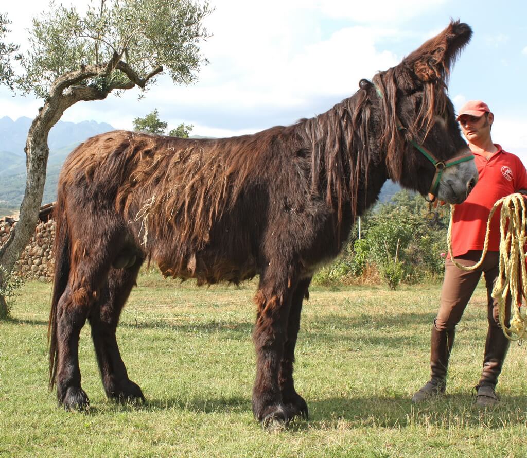 Ecología https://yolpiq.com/blog/eco-empresa-yolpiq-el-disenonatural-y-la-ecologia/ https://yolpiq.com/wp-content/uploads/2019/08/encabezado-dibujo-portada-blog-okk.png https://yolpiq.com/blog/eco-empresa-yolpiq-el-disenonatural-y-la-ecologia/