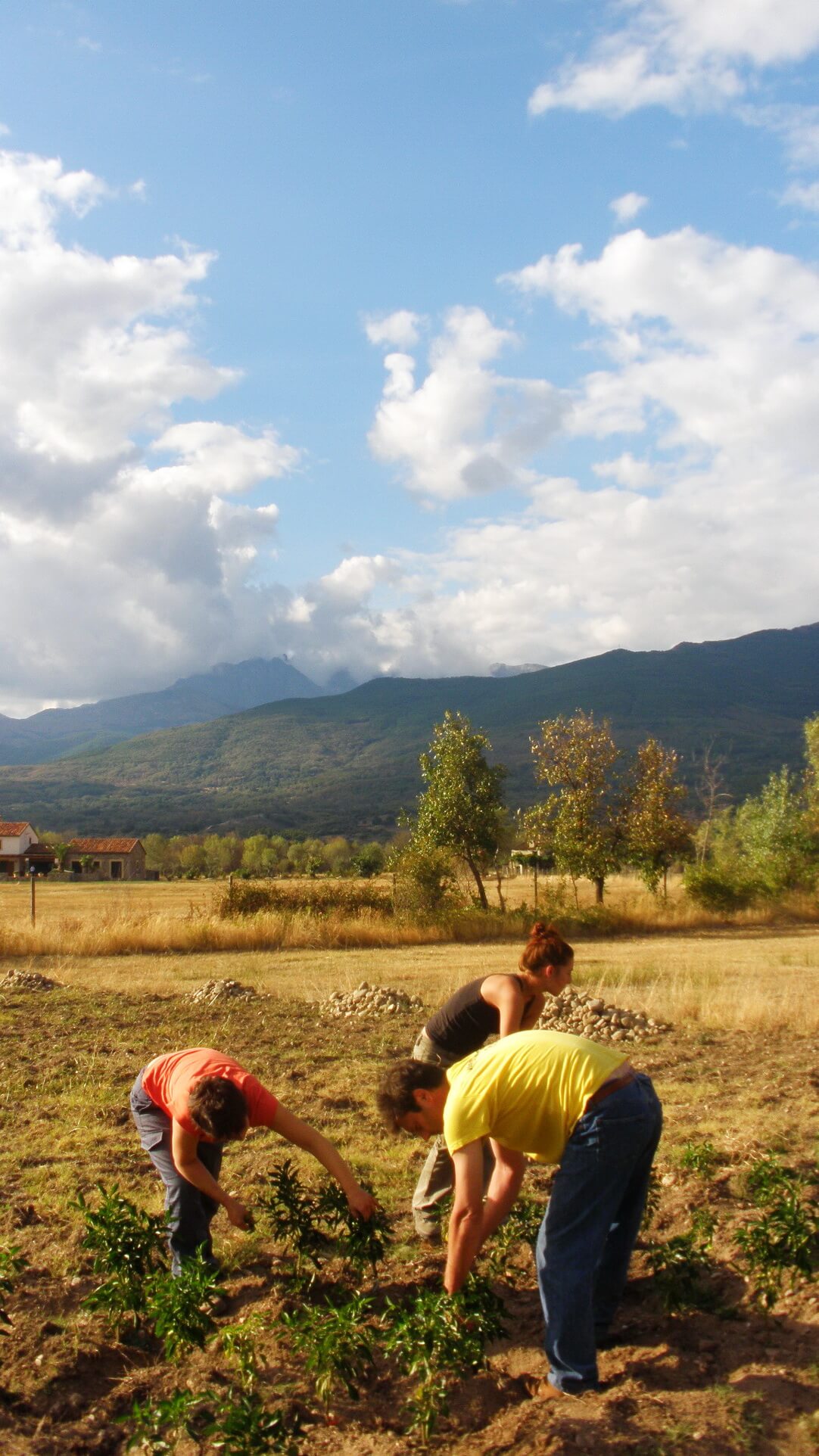 Ecología https://yolpiq.com/blog/eco-empresa-yolpiq-el-disenonatural-y-la-ecologia/ https://yolpiq.com/wp-content/uploads/2019/08/encabezado-dibujo-portada-blog-okk.png https://yolpiq.com/blog/eco-empresa-yolpiq-el-disenonatural-y-la-ecologia/