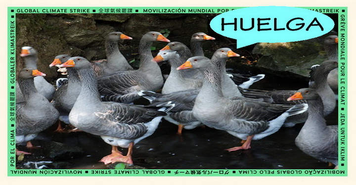 huelga ocas cumbre clima blog
