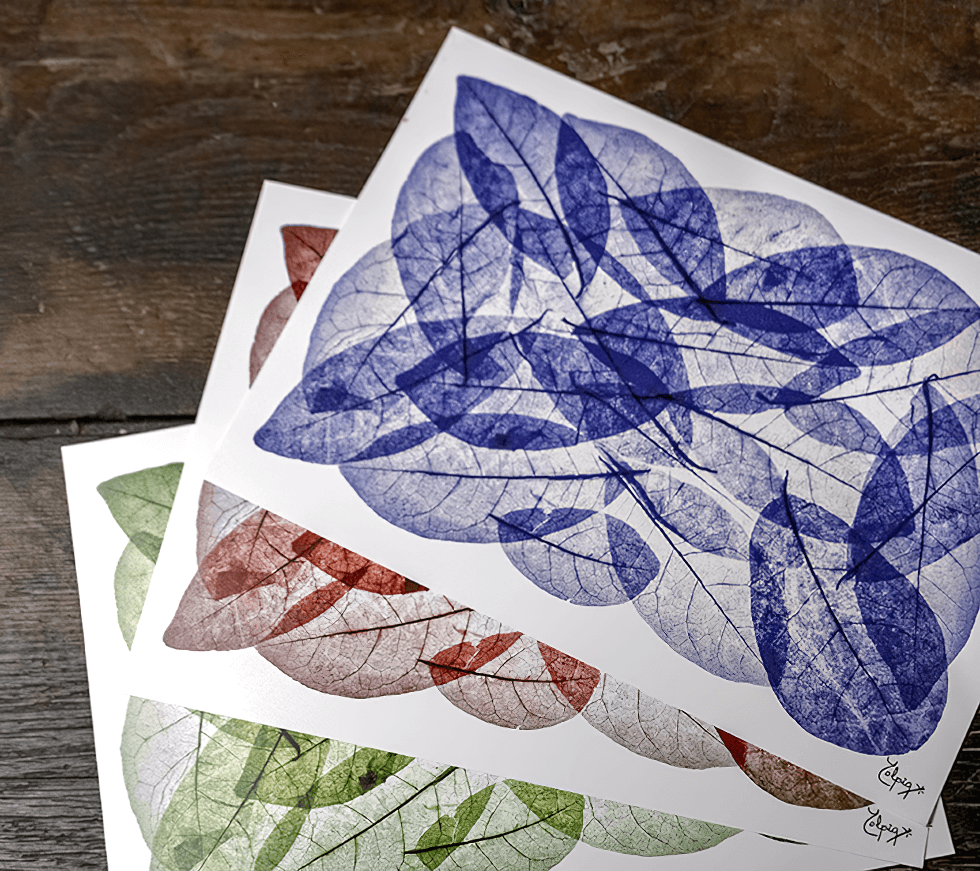 diseños hojas-blog la nueva estrella dn