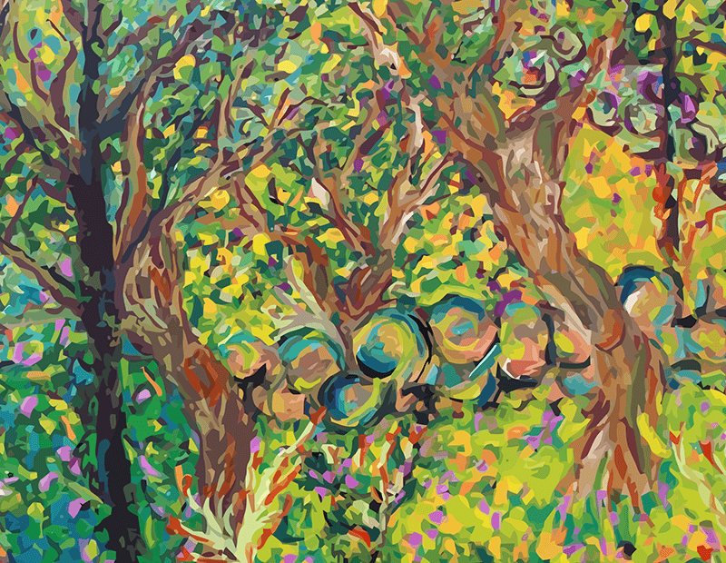 Blog-parte cuadro el bosque YOLPIQ-DN