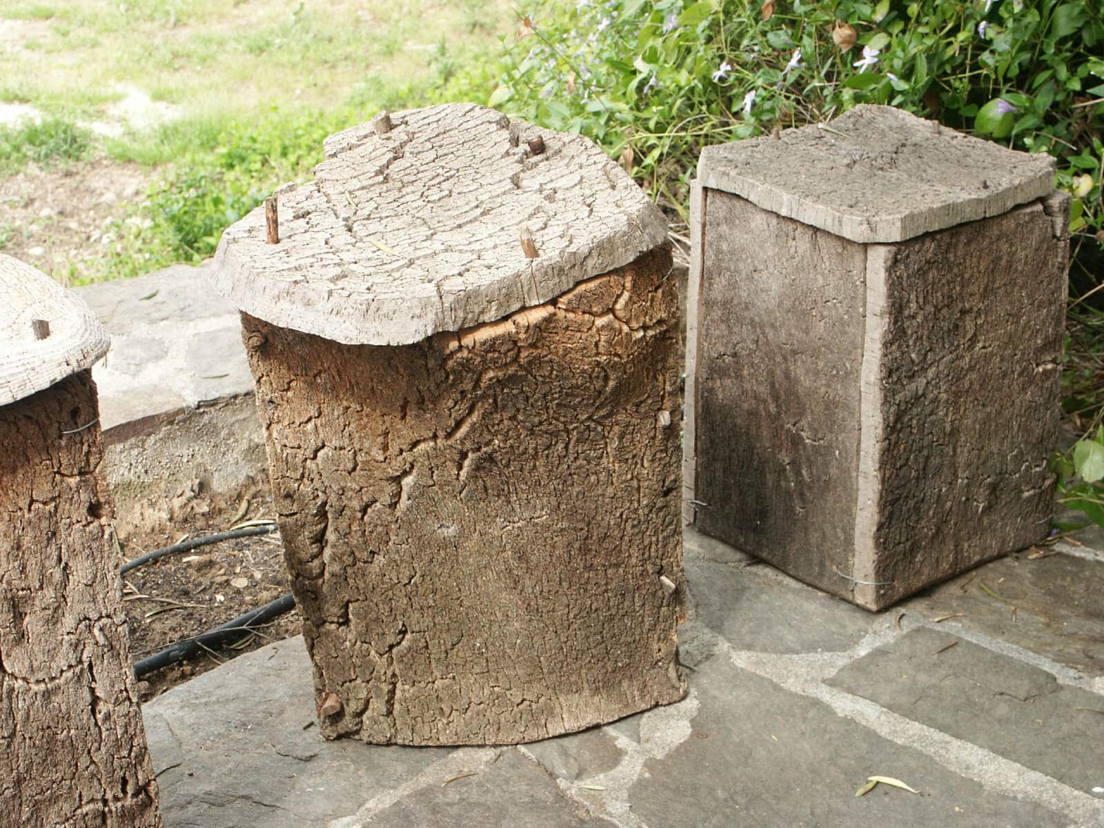 BLOG-la cera de las abejas