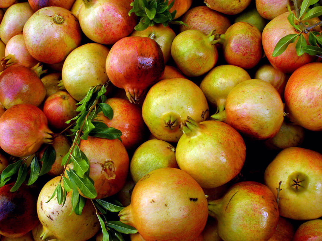 https://yolpiq.com/wp-content/uploads/2024/09/detalle-granadas-lampara-portadablog.jpg https://yolpiq.com/blog/la-pintura-natural/